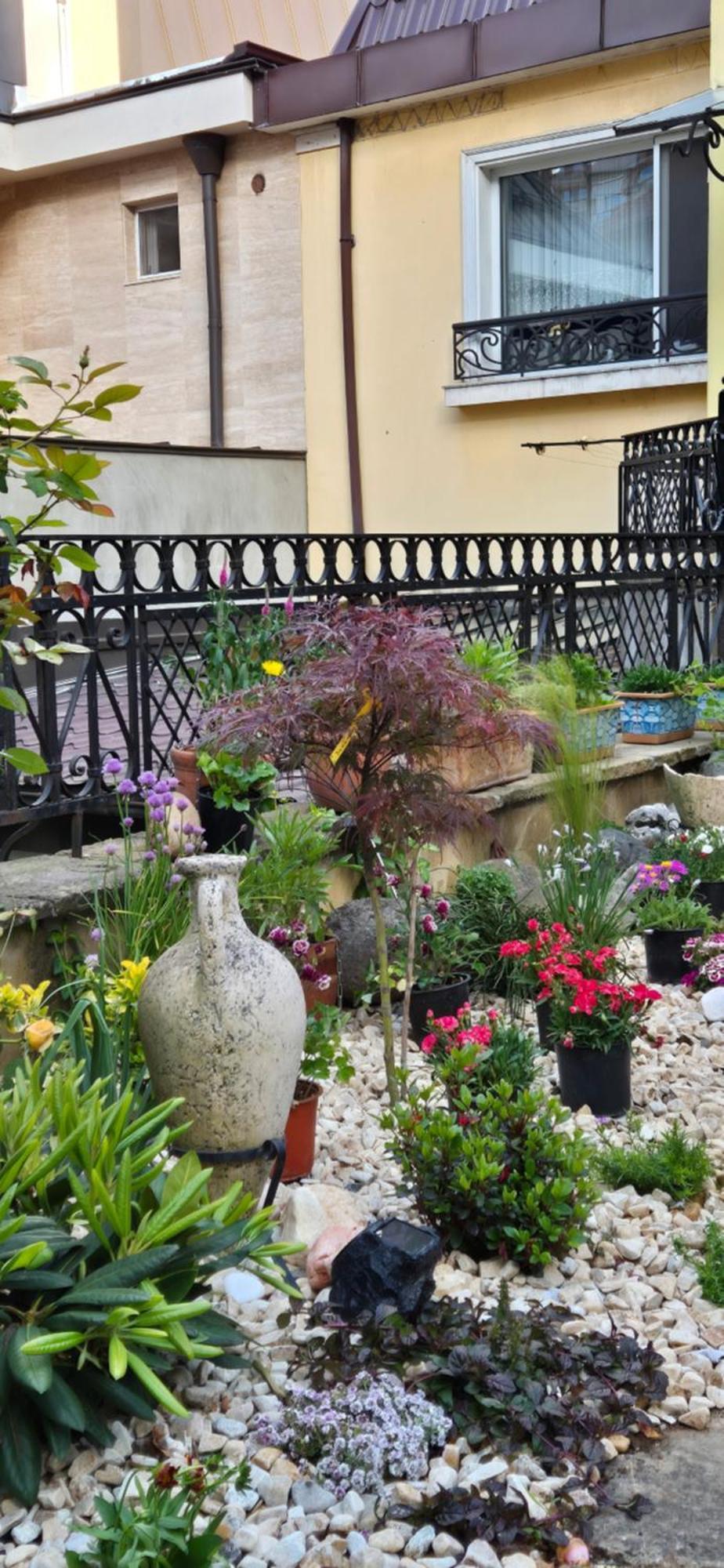 Luxury Private House In City Center Veliko Tarnovo Værelse billede